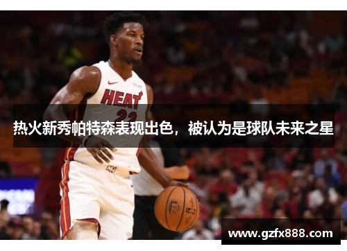 热火新秀帕特森表现出色，被认为是球队未来之星