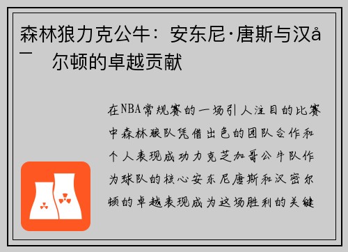 森林狼力克公牛：安东尼·唐斯与汉密尔顿的卓越贡献