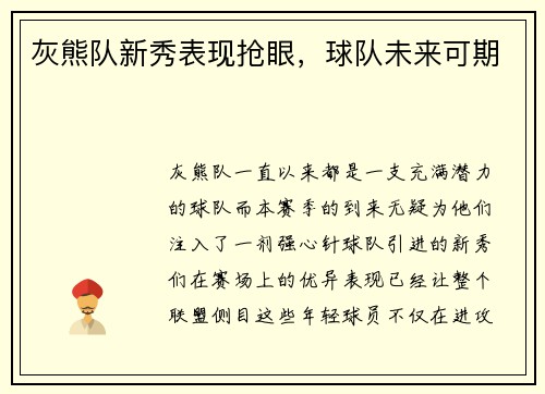 灰熊队新秀表现抢眼，球队未来可期